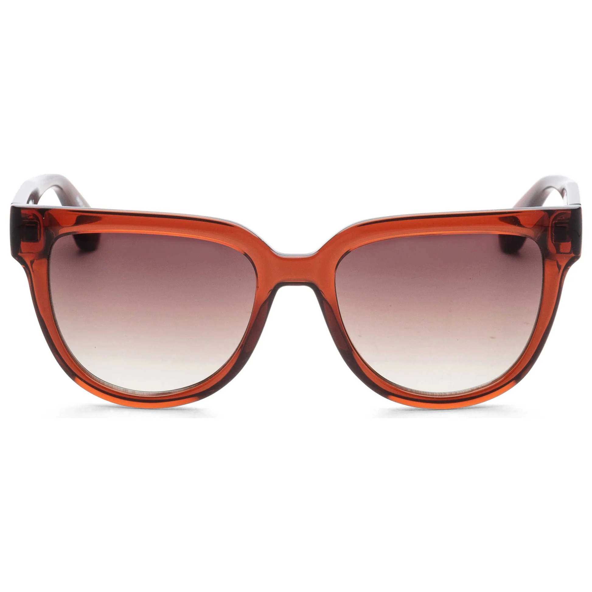 Longchamp Translucent Brown Cat-Eye Sunglasses Longchamp Women main image 3