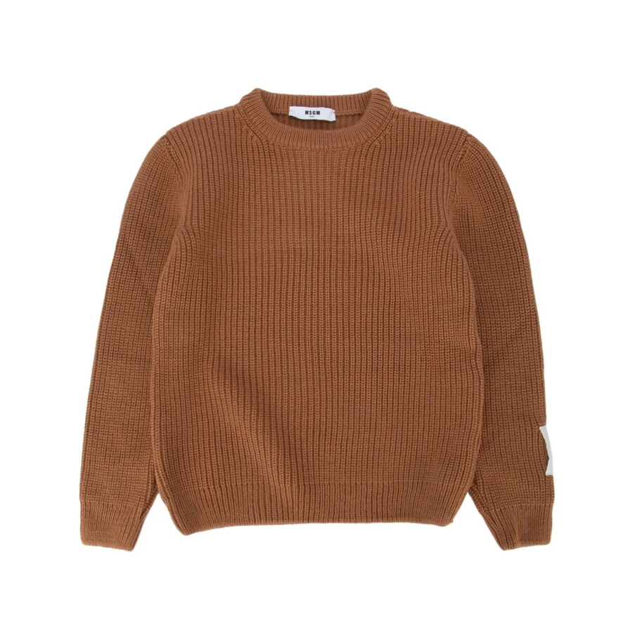 Msgm Kids Classic Logo Printed Sweatshirt