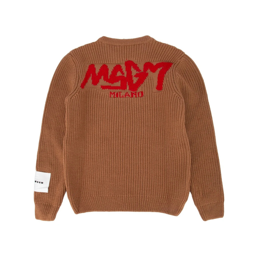 Msgm Kids Classic Logo Printed Sweatshirt