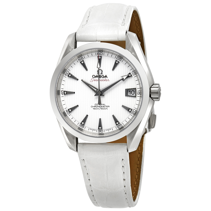 Omega Seamaster Aqua Terra Automatic Men's Watch 231.13.39.21.54.001