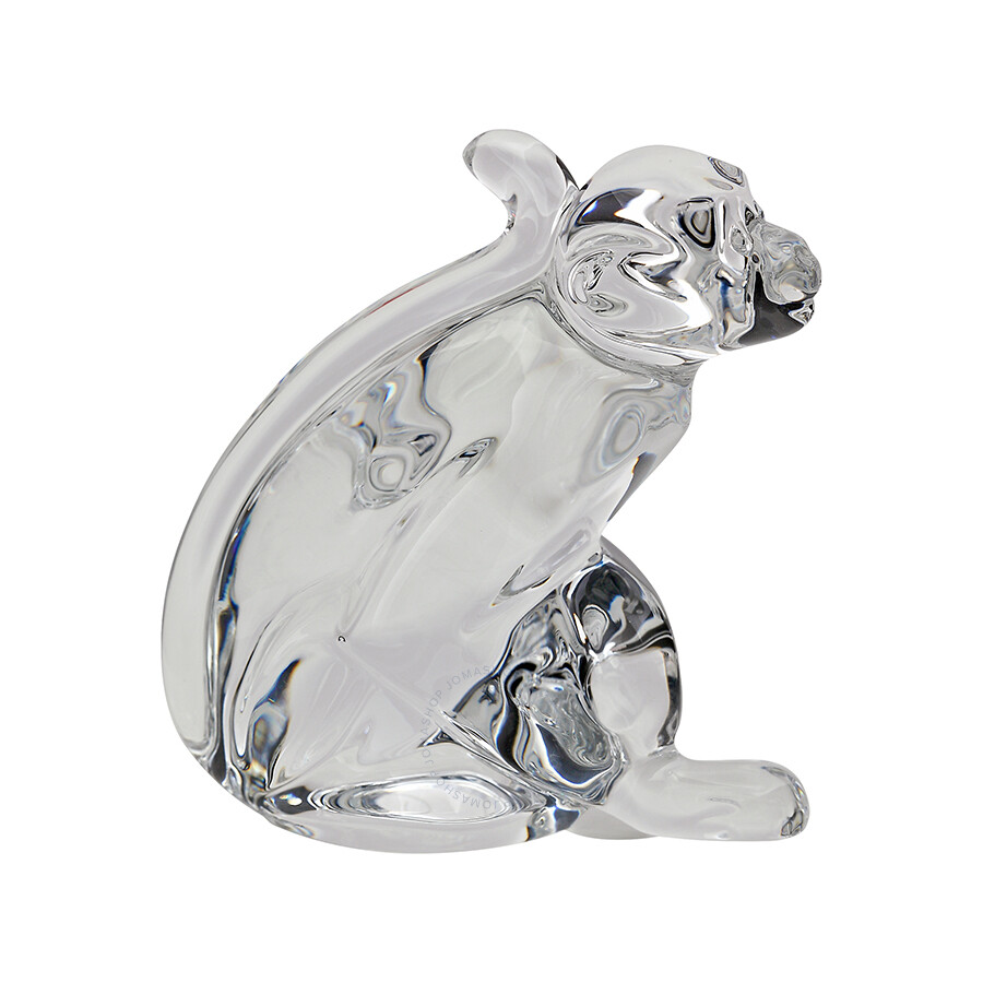 Baccarat Monkey Baccarat Monkey