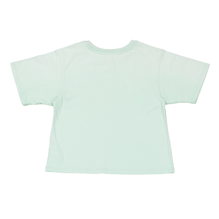 Polo Ralph Lauren Kids Signature Pony Cotton T-shirt In Green