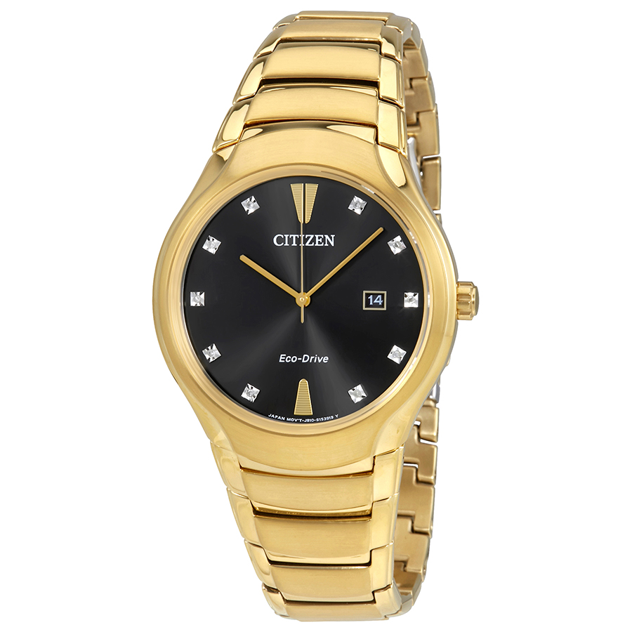citizen paradigm black