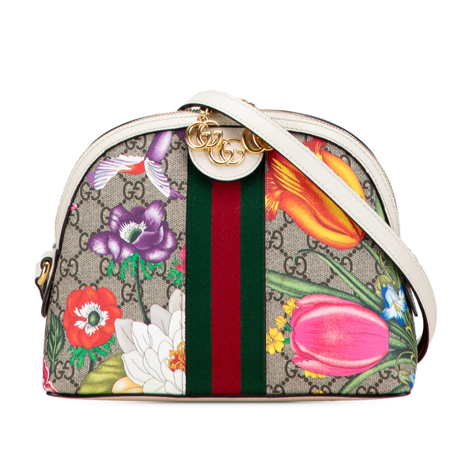 Gucci Pre-owned Gucci Small GG Supreme Web Flora Ophidia Dome