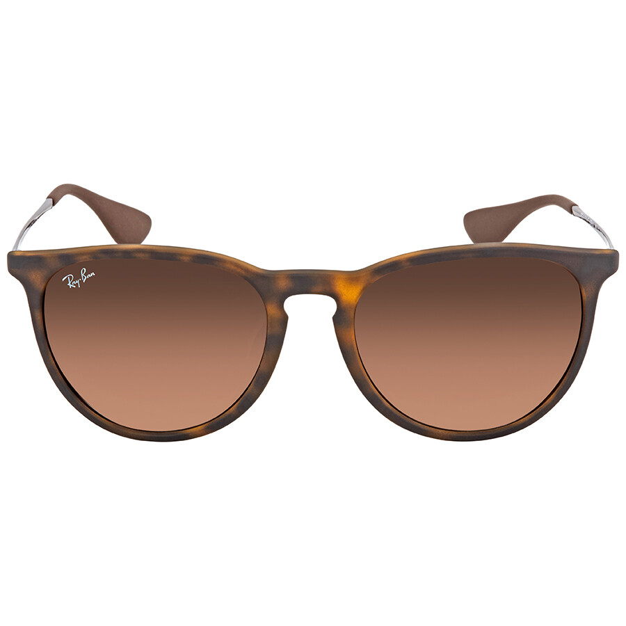 ray ban erika sunglasses polarized