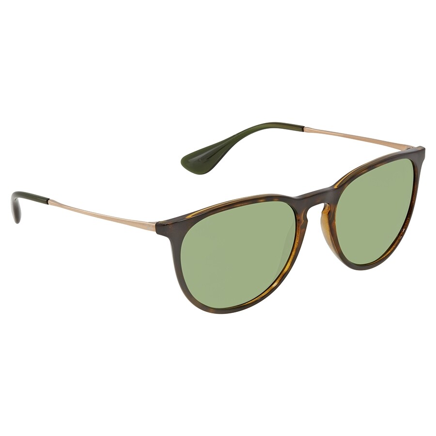 ray ban erika classic ladies sunglasses