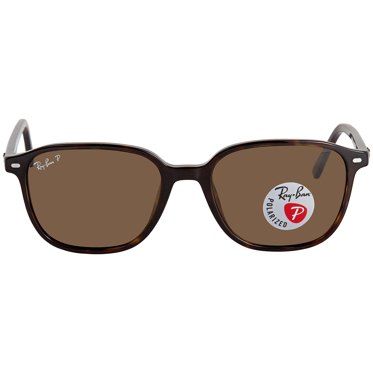 ray-ban-leonard-polarized-