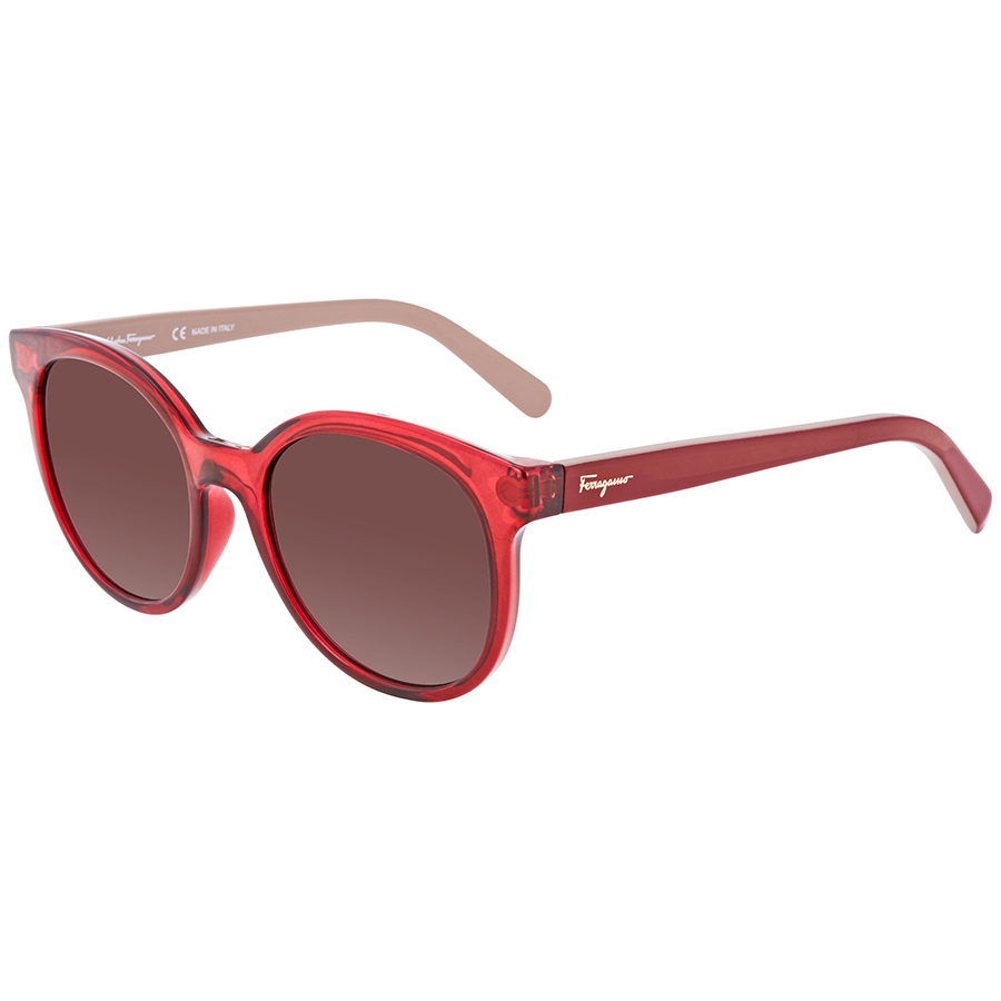 Ferragamo Salvatore Ferragamo SF833S Brown Gradient Round  display picture 1