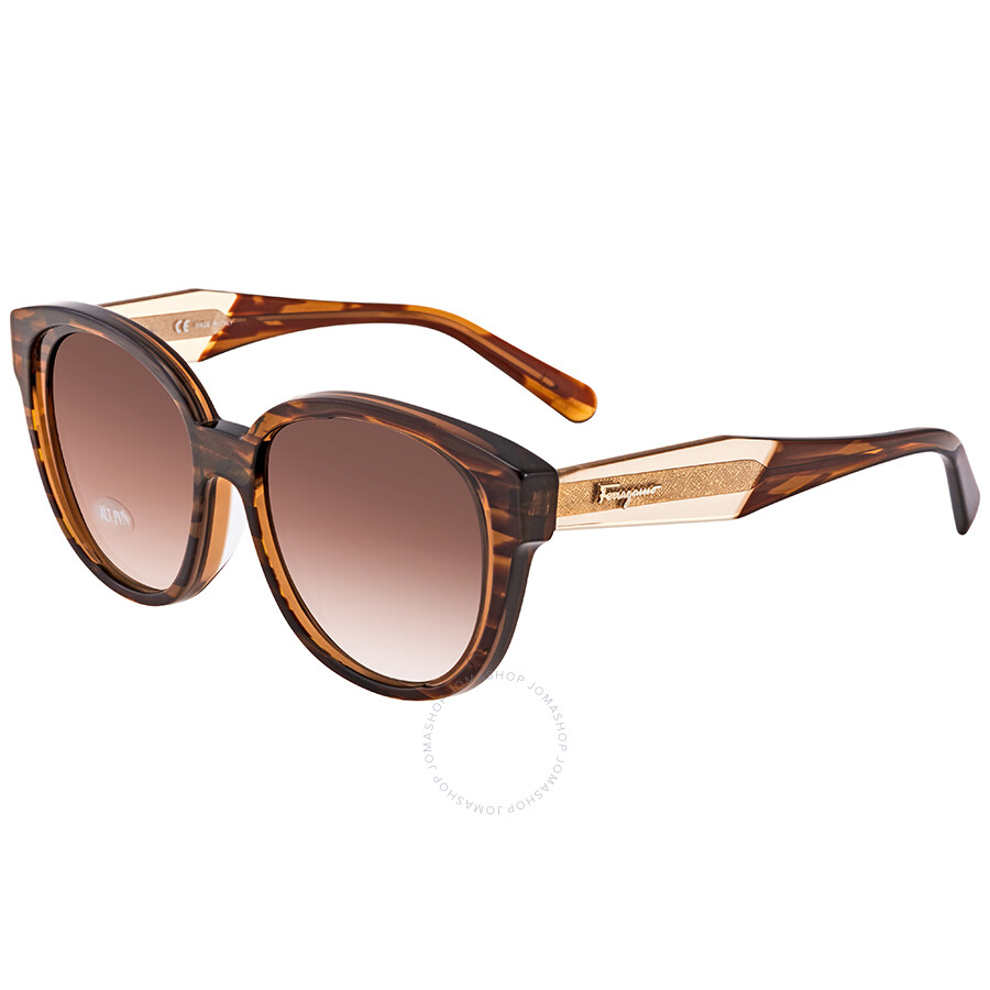 Salvatore Ferragamo サルヴァトーレ フェラガモ SF895SA-296 Ferragamo Salvatore Ferragamo Brown Oval Ladies Sunglasses