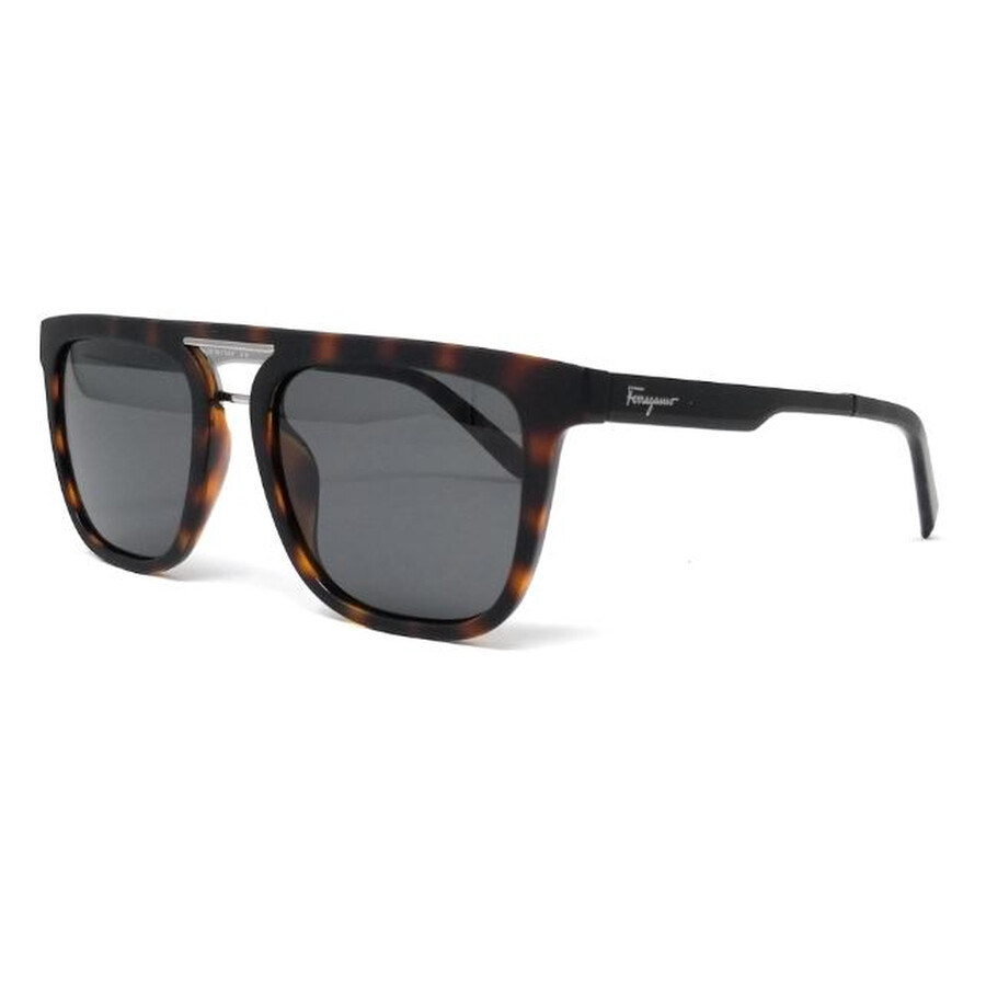 mens ferragamo sunglasses