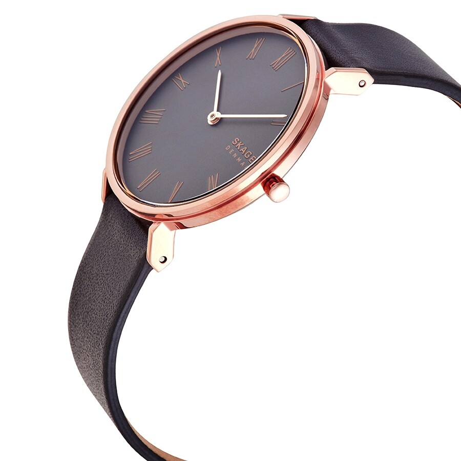 skagen hald watch