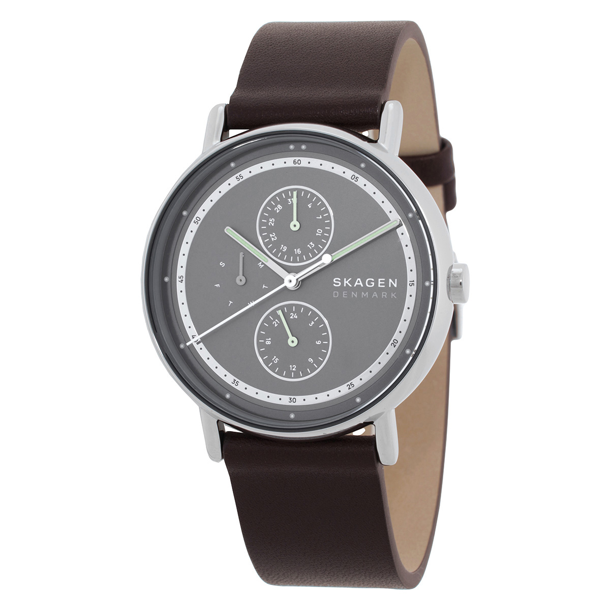 Skagen Signatur Multifunction Quartz Grey Dial Men's Watch SKW6941