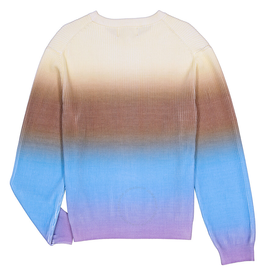Solid Homme Multicolor Gradient Sweater