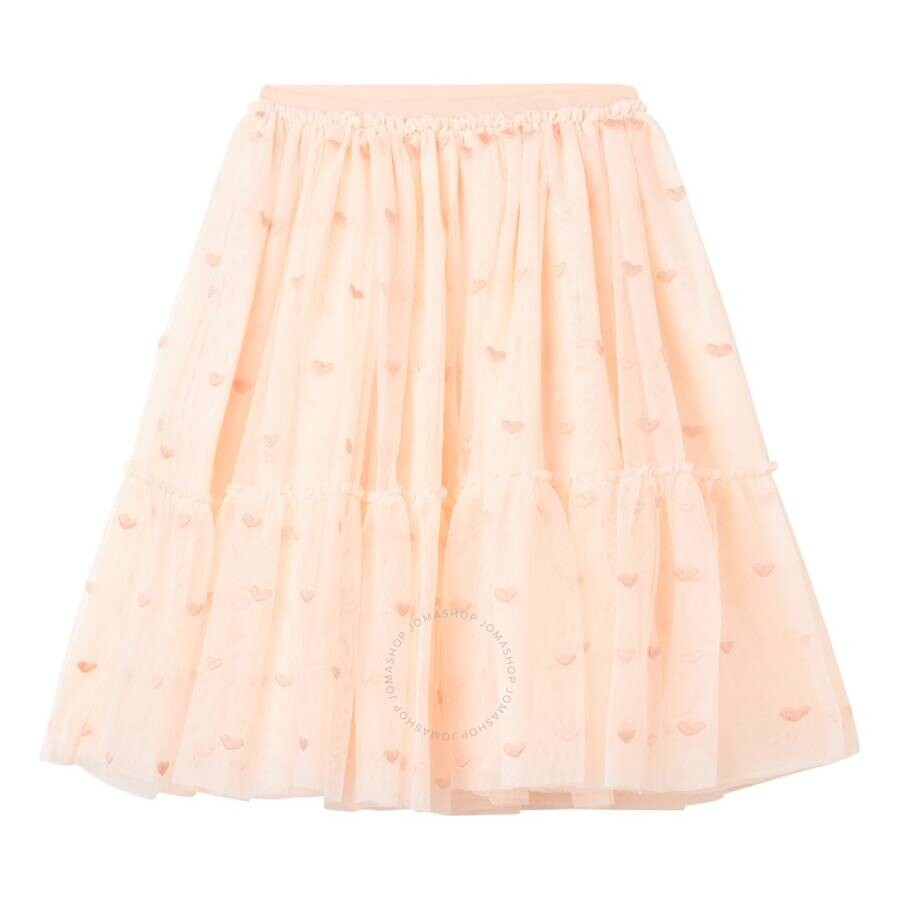 Kids Hearts Embroidered Tulle Skirt