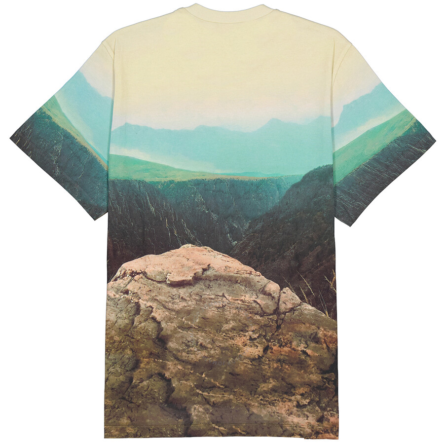 Stella Mccartney Ladies All-over Photographic Print Leopard T-shirt In Multicolor