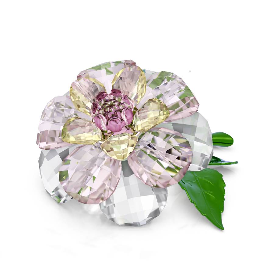 Swarovski Florere Camellia Figurine 5721538 9009657215387