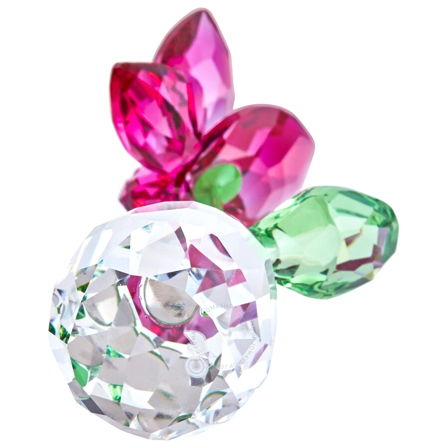 Swarovski Flower Dreams Orchid 5254318 Swarovski Crystals