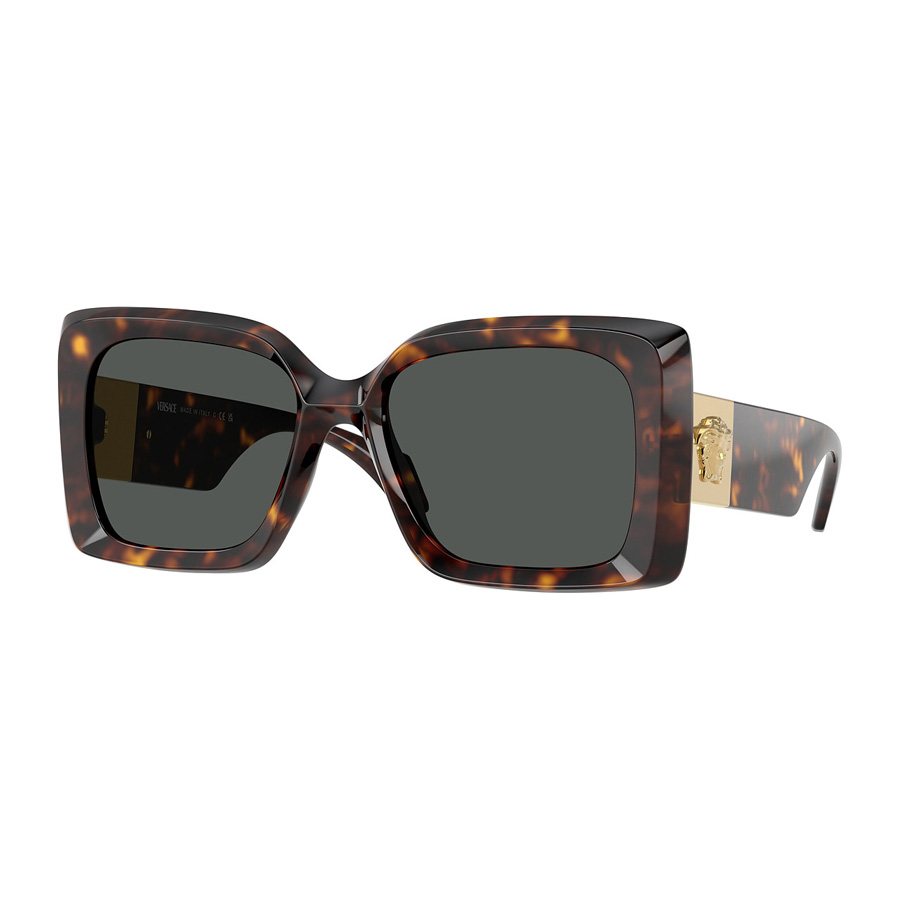 Versace Dark Gray Oversized Ladies Sunglasses Ve4467u 108/87 54