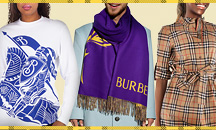 Burberry Giant Checked Fringed-Edge Scarf 8077877